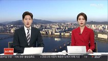 '남편 상해 혐의' 조현아 벌금 300만원