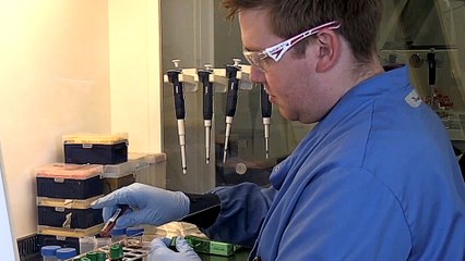 COVID-19 vaccine trials starting in UK