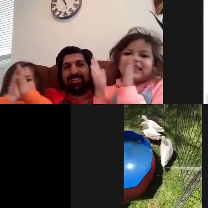 Squeals on Wheels Traveling Petting Zoo, Maryland Virginia DC