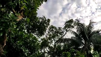 Mother of Nature is breathing   location Bangladesh Chittagong