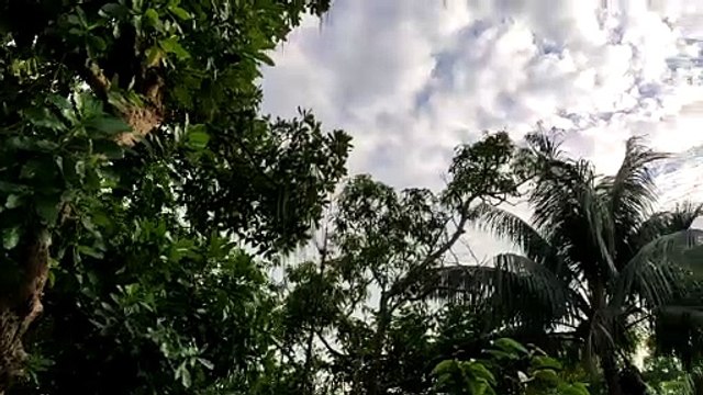 Mother of Nature is breathing location Bangladesh Chittagong