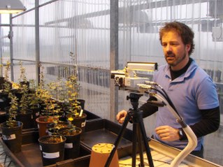 El futuro de las dehesas: un nuevo método para detectar el decaimiento de las encinas