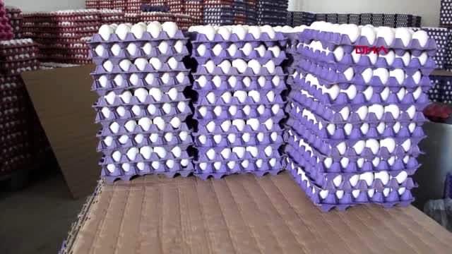 AFYONKARAHİSAR Koronavirüs yumurta tüketimini artırdı-TEKRAR