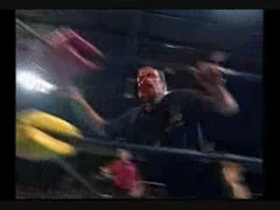 Wwe tribute