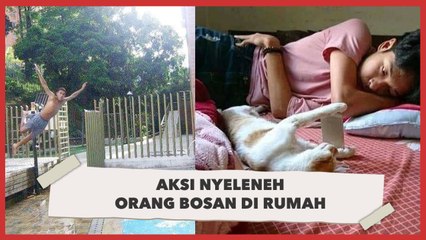 Aksi Nyeleneh Orang-Orang Usir Bosan saat di Rumah Aja