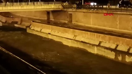 Çoruh Nehri'nde su samuru görüldü