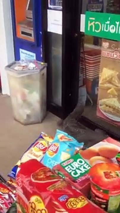 Huge Lizard Tries to Enter Convenience Store