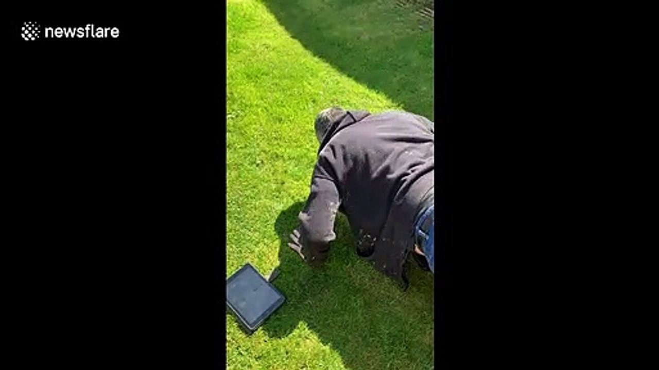 Man's hilarious take on the new 25 push-ups social media challenge