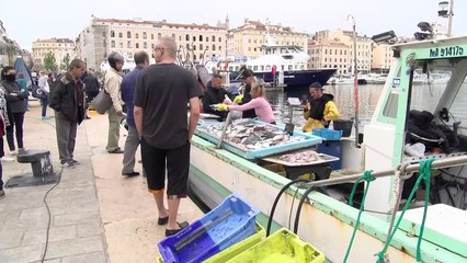 Le marché au poisson du Vieux Port de Marseille comme si vous y étiez