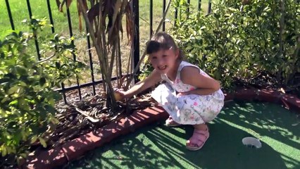 Sophia, Isabella e Alice Abrindo LOL Surprise Bonecas