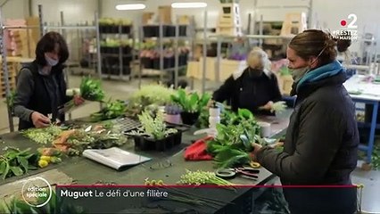 1er mai : la filière du muguet face à un défi