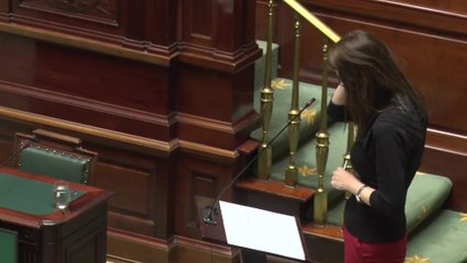 Coronavirus: Trois millions de tests d'immunité d'ici juin (Sophie Wilmès)