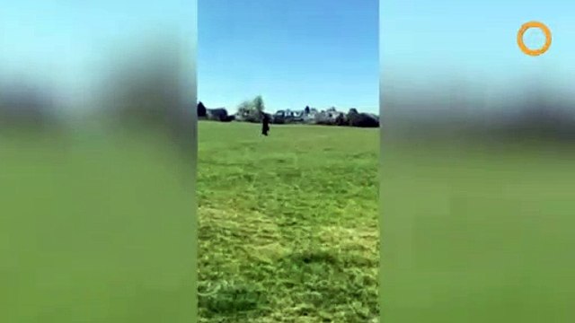 Cet homme terrorise une ville déguisé en docteur de peste