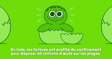 15 nouvelles positives qui se sont produites pendant la crise du coronavirus en illustrations