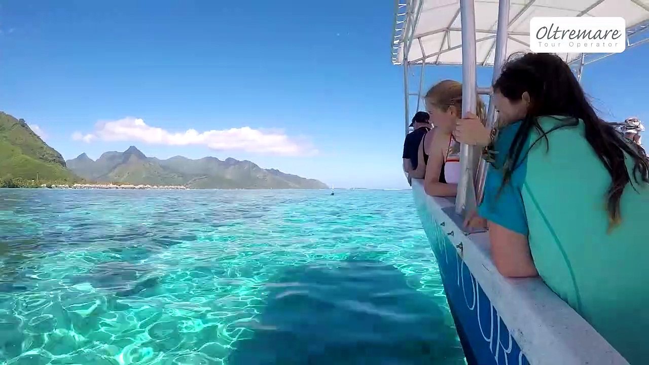 Corallina Tours Trailer