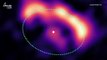 Rare Images of Planet-Forming Disks Captured Around Young Stars