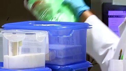 URGENTE: Novo coronavírus não foi criado pelo homem