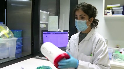 URGENTE: Novo coronavírus não foi criado pelo homem