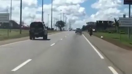 Un motard en fuite prêt à tout pour échapper à la police