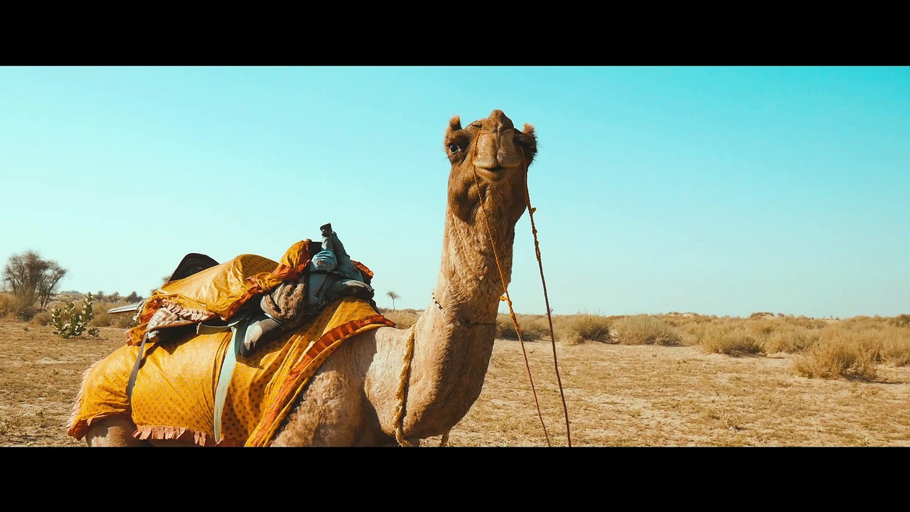 Desert Thar
