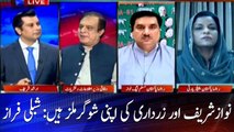 Nawaz Sharif and Zardari have their own sugar mills: Shibli Faraz