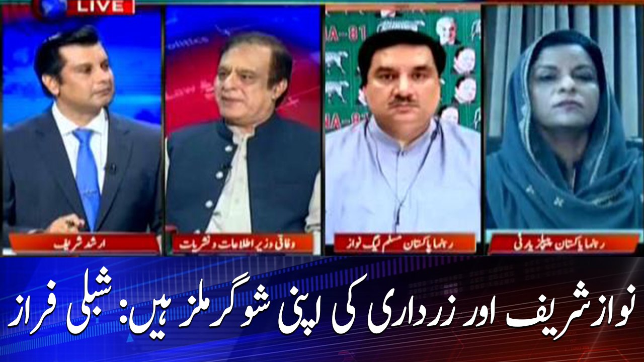 Nawaz Sharif and Zardari have their own sugar mills: Shibli Faraz