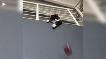 Two-year-old kitten Tokyo shows off its amazing ball skills