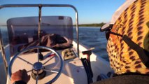Increible!. El mejor video de pesca de dorados que hayas visto!