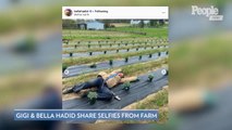 Gigi Hadid Shares Selfies from Pa. Farm While Self-Isolating: 'Sending Love and Strength'