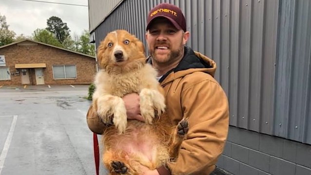 Family finds dog 54 days after tornado destroyed their home