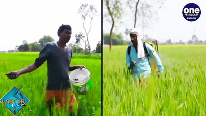 On Labour Day, we salute the toil of workers who keep our lives running- OneIndia News - video dailymotion