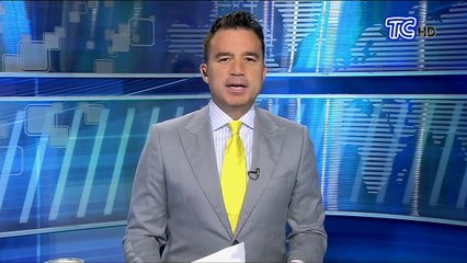 Delfines se acercan a Estambul aprovechando la disminución del tráfico marítimo