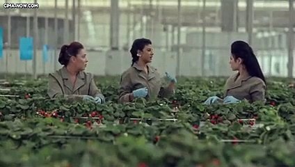 مسلسل النهاية الحلقة  9 التاسعة رمضان 2020