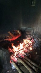 Bali spit pig | Anthony S Casey Singapore