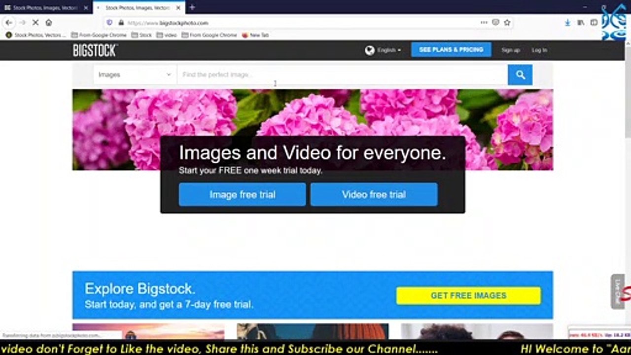 BigStock Photo contributor tutorial and Bigstock Questions solved.How to  upload in bigstockphoto.com