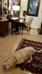 Ferhan Şensoy'dan karantina günleri için güzel haber