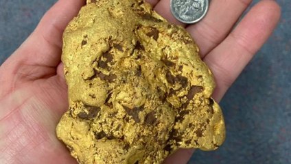 Il trouve une pépite d’or géante qui vaut une fortune