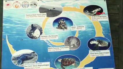 Dünyaca ünlü antik plajda sessizlik hakim