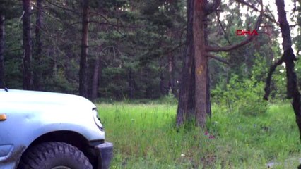 Türkiye'de ilk kez görülen Covid-19 şüphelisi rakun köpeği için uyarı