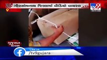 Viral video shows people involved in selling of tobacco products in Gir-Somnath despite ban  _ TV9