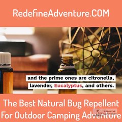 The Best Natural Bug Repellent For Outdoor Camping Adventure