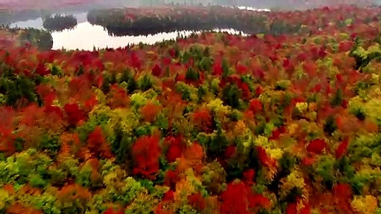 Nature Test
