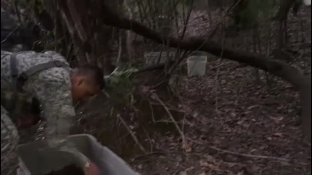 Devuelven 2000 tortugas a su hábitat natural en Colombia