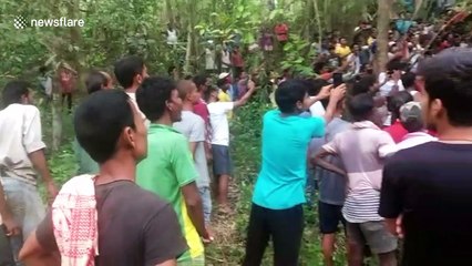 Local man rescues stranded python from death in northeast India