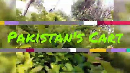 Pomegranate: An elderly plant of Asian Countries: Pakistan's Cart