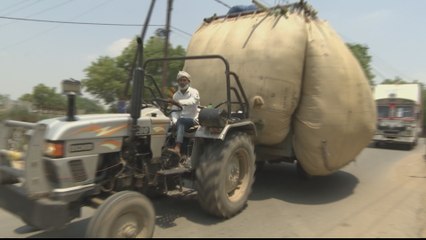 India farmers struggle amid COVID-19 lockdown