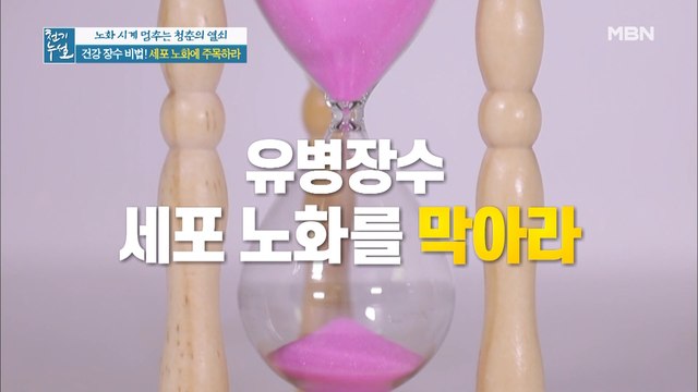 특별한 건강 장수 비법이 있다? 각종 질환을 유발하는 세포 노화를 막아라!