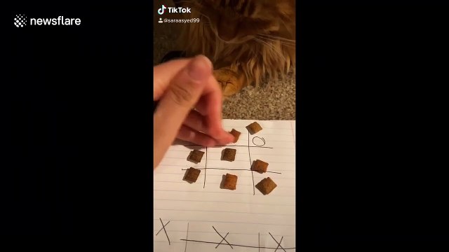 Woman plays Tic-Tac-Toe with her CAT while quarantined in Missouri