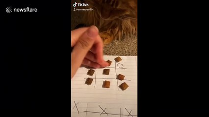 Woman plays Tic-Tac-Toe with her CAT while quarantined in Missouri