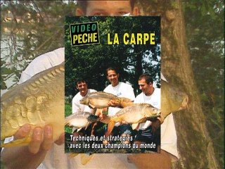 Techniques et stratégies de la pêche de la carpe